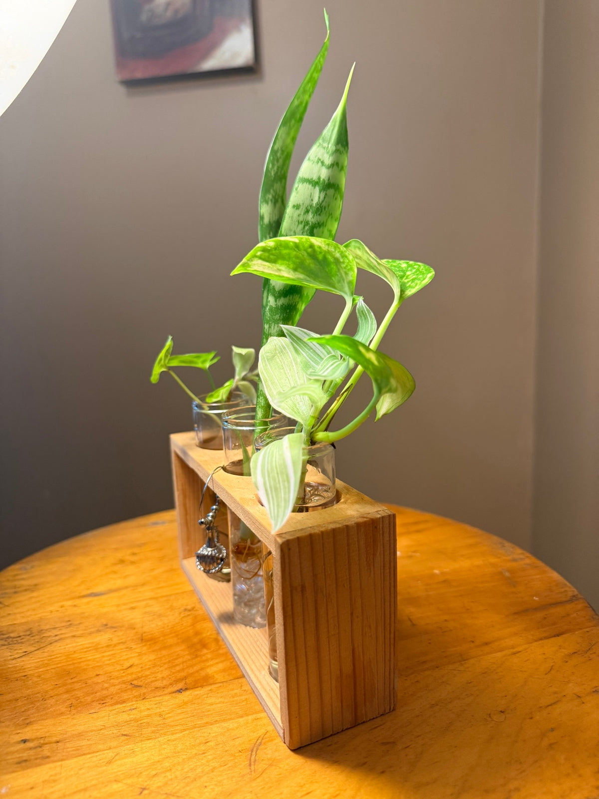 ForeverPlant Plant Gift station, side view along the wooden stand
