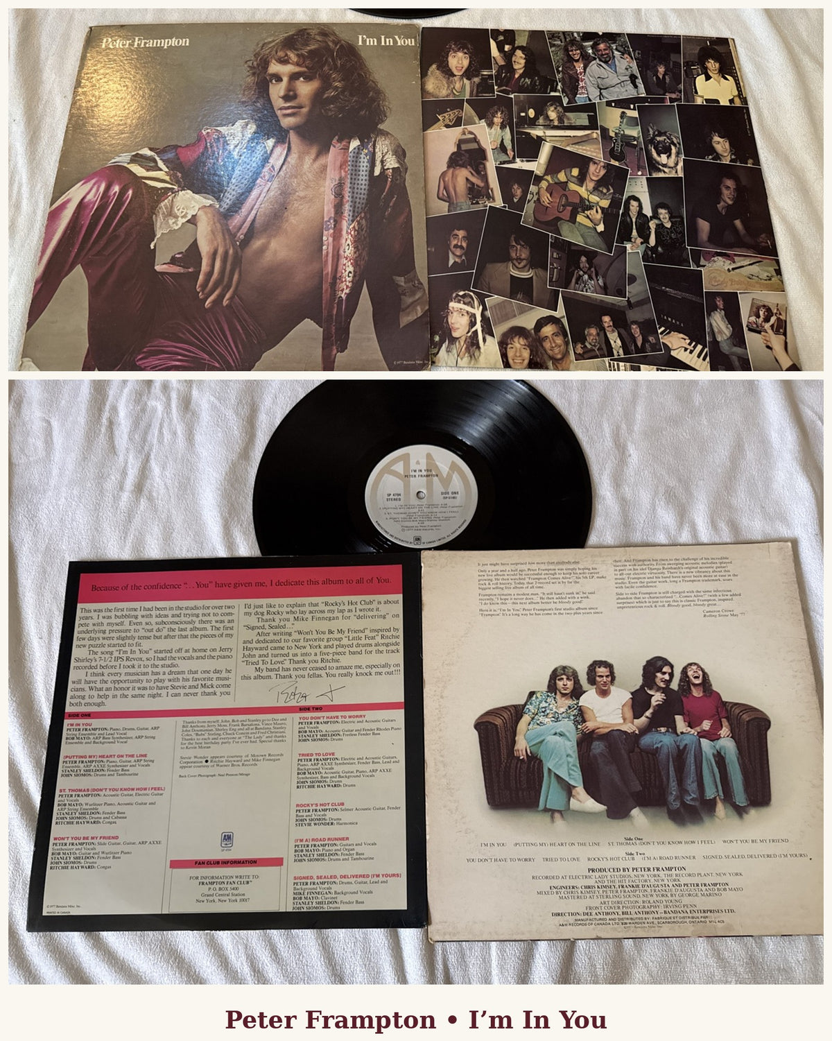 Peter Frampton - I'm In You